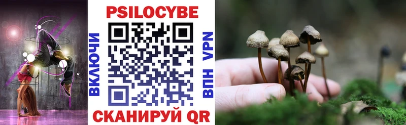 Псилоцибиновые грибы Magic Shrooms  Фрязино 